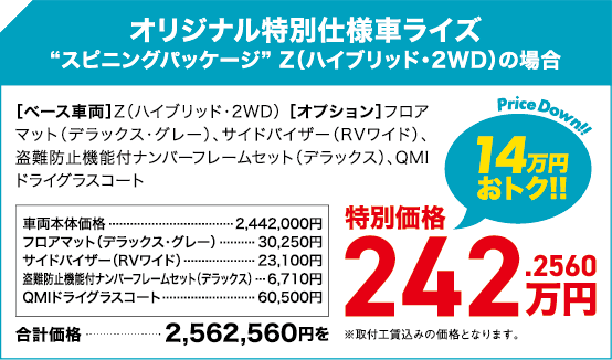 オリジナル特別仕様車ライズ